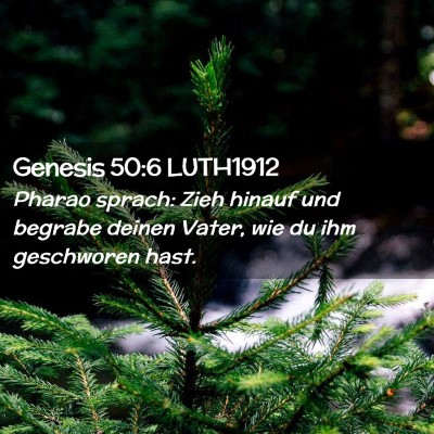 Picture 02 - Genesis 50:6 LUTH1912 - Pharao sprach: Zieh hinauf und begrabe deinen - Bible Verse Picture