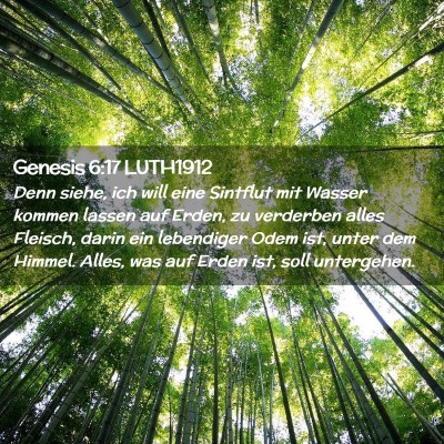 Picture 02 - Genesis 6:17 LUTH1912 - Denn siehe, ich will eine Sintflut mit Wasser - Bible Verse Picture