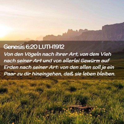 Picture 02 - Genesis 6:20 LUTH1912 - Von den Vögeln nach ihrer Art, von dem Vieh nach - Bible Verse Picture