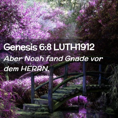 Picture 02 - Genesis 6:8 LUTH1912 - Aber Noah fand Gnade vor dem - Bible Verse Picture