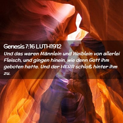 Picture 02 - Genesis 7:16 LUTH1912 - Und das waren Männlein und Weiblein von allerlei - Bible Verse Picture