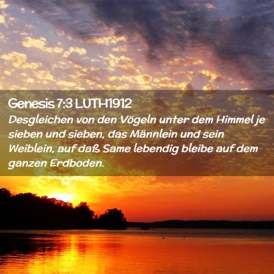 Picture 02 - Genesis 7:3 LUTH1912 - Desgleichen von den Vögeln unter dem Himmel je - Bible Verse Picture