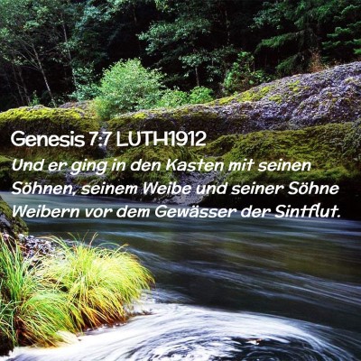 Picture 02 - Genesis 7:7 LUTH1912 - Und er ging in den Kasten mit seinen Söhnen, - Bible Verse Picture