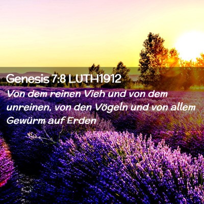 Picture 02 - Genesis 7:8 LUTH1912 - Von dem reinen Vieh und von dem unreinen, von den - Bible Verse Picture