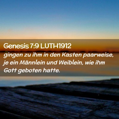 Picture 02 - Genesis 7:9 LUTH1912 - gingen zu ihm in den Kasten paarweise, je ein - Bible Verse Picture