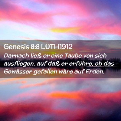 Picture 02 - Genesis 8:8 LUTH1912 - Darnach ließ er eine Taube von sich ausfliegen, - Bible Verse Picture