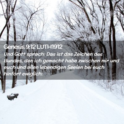 Picture 02 - Genesis 9:12 LUTH1912 - Und Gott sprach: Das ist das Zeichen des Bundes, - Bible Verse Picture