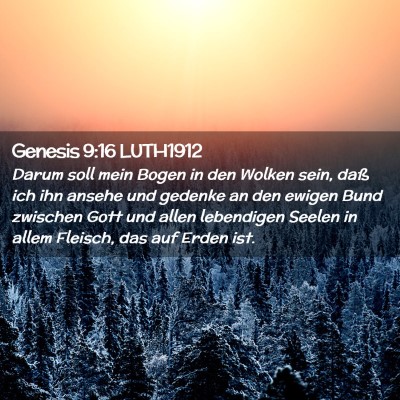 Picture 02 - Genesis 9:16 LUTH1912 - Darum soll mein Bogen in den Wolken sein, daß - Bible Verse Picture