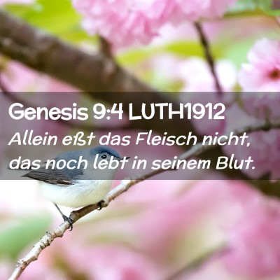 Picture 02 - Genesis 9:4 LUTH1912 - Allein eßt das Fleisch nicht, das noch lebt in - Bible Verse Picture