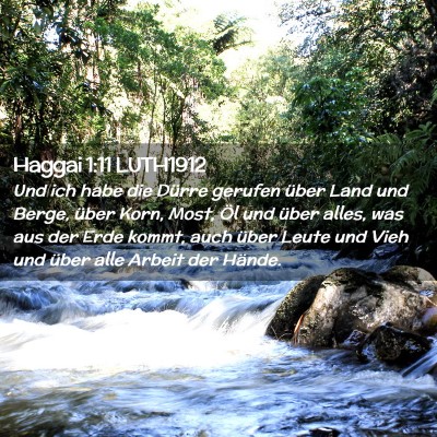 Picture 02 - Haggai 1:11 LUTH1912 - Und ich habe die Dürre gerufen über Land und - Bible Verse Picture