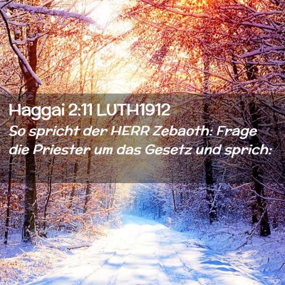 Picture 02 - Haggai 2:11 LUTH1912 - So spricht der HERR Zebaoth: Frage die Priester - Bible Verse Picture