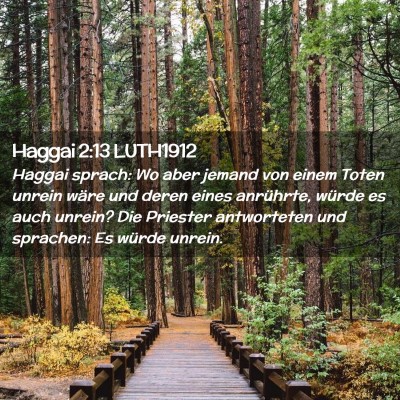 Picture 02 - Haggai 2:13 LUTH1912 - Haggai sprach: Wo aber jemand von einem Toten - Bible Verse Picture