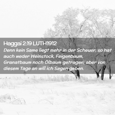 Picture 02 - Haggai 2:19 LUTH1912 - Denn kein Same liegt mehr in der Scheuer, so hat - Bible Verse Picture