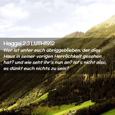 Picture 02 - Haggai 2:3 LUTH1912 - Wer ist unter euch übriggeblieben, der dies Haus - Bible Verse Picture