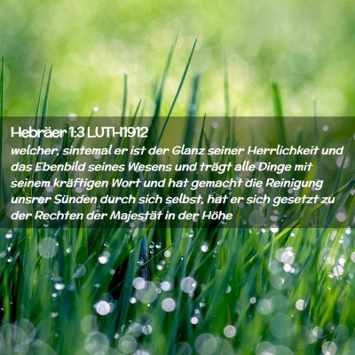Picture 02 - Hebräer 1:3 LUTH1912 - welcher, sintemal er ist der Glanz seiner - Bible Verse Picture