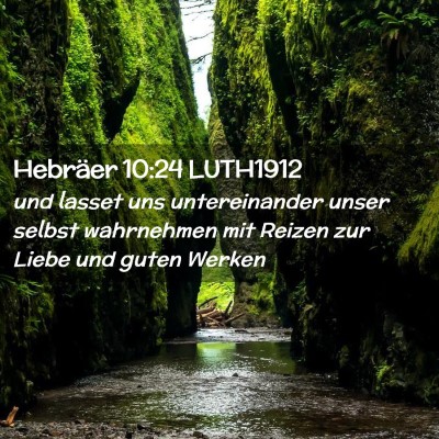 Picture 02 - Hebräer 10:24 LUTH1912 - und lasset uns untereinander unser selbst - Bible Verse Picture