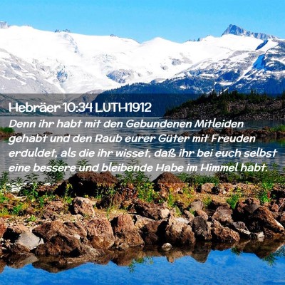 Picture 02 - Hebräer 10:34 LUTH1912 - Denn ihr habt mit den Gebundenen Mitleiden gehabt - Bible Verse Picture