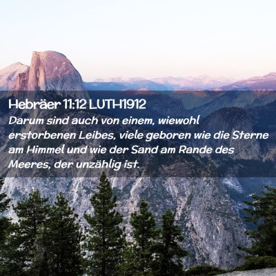 Picture 02 - Hebräer 11:12 LUTH1912 - Darum sind auch von einem, wiewohl erstorbenen - Bible Verse Picture