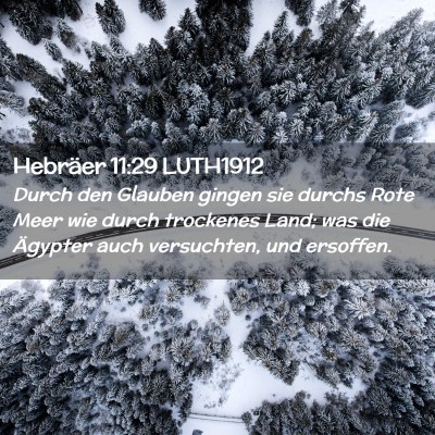 Picture 02 - Hebräer 11:29 LUTH1912 - Durch den Glauben gingen sie durchs Rote Meer wie - Bible Verse Picture
