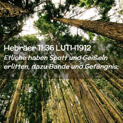 Picture 02 - Hebräer 11:36 LUTH1912 - Etliche haben Spott und Geißeln erlitten, dazu - Bible Verse Picture