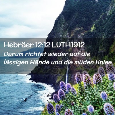 Picture 02 - Hebräer 12:12 LUTH1912 - Darum richtet wieder auf die lässigen Hände und - Bible Verse Picture