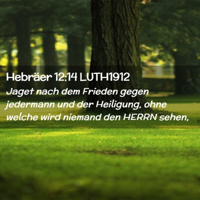 Picture 02 - Hebräer 12:14 LUTH1912 - Jaget nach dem Frieden gegen jedermann und der - Bible Verse Picture