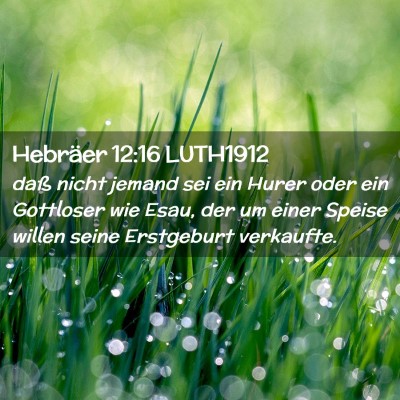 Picture 02 - Hebräer 12:16 LUTH1912 - daß nicht jemand sei ein Hurer oder ein - Bible Verse Picture
