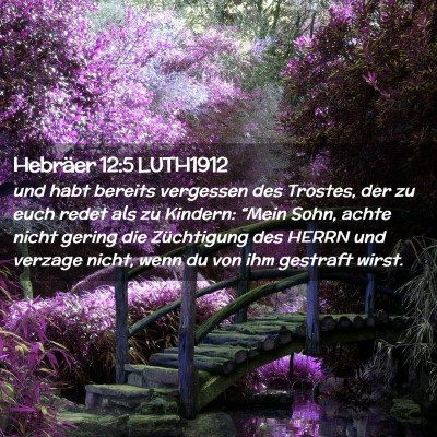 Picture 02 - Hebräer 12:5 LUTH1912 - und habt bereits vergessen des Trostes, der zu - Bible Verse Picture