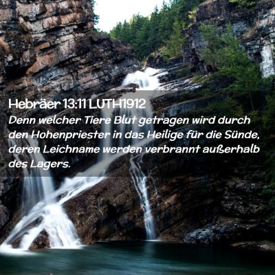 Picture 02 - Hebräer 13:11 LUTH1912 - Denn welcher Tiere Blut getragen wird durch den - Bible Verse Picture