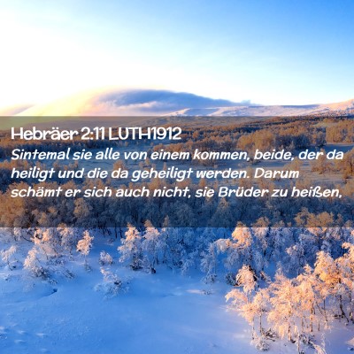 Picture 02 - Hebräer 2:11 LUTH1912 - Sintemal sie alle von einem kommen, beide, der da - Bible Verse Picture
