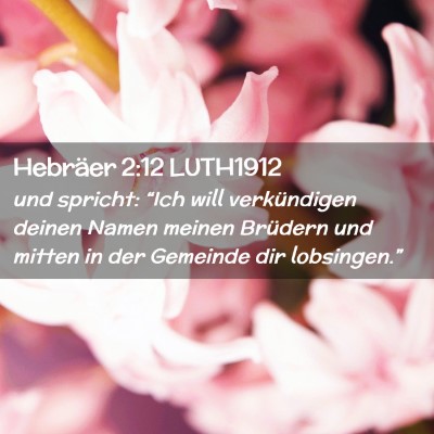 Picture 02 - Hebräer 2:12 LUTH1912 - und spricht: “Ich will verkündigen deinen - Bible Verse Picture