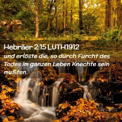 Picture 02 - Hebräer 2:15 LUTH1912 - und erlöste die, so durch Furcht des Todes im - Bible Verse Picture