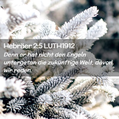 Picture 02 - Hebräer 2:5 LUTH1912 - Denn er hat nicht den Engeln untergetan die - Bible Verse Picture