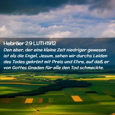 Picture 02 - Hebräer 2:9 LUTH1912 - Den aber, der eine kleine Zeit niedriger gewesen - Bible Verse Picture