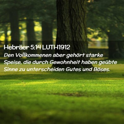 Picture 02 - Hebräer 5:14 LUTH1912 - Den Vollkommenen aber gehört starke Speise, die - Bible Verse Picture