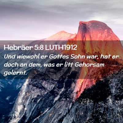 Picture 02 - Hebräer 5:8 LUTH1912 - Und wiewohl er Gottes Sohn war, hat er doch an - Bible Verse Picture