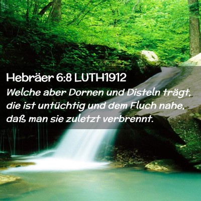 Picture 02 - Hebräer 6:8 LUTH1912 - Welche aber Dornen und Disteln trägt, die ist - Bible Verse Picture