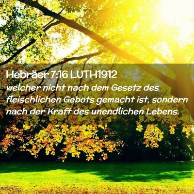 Picture 02 - Hebräer 7:16 LUTH1912 - welcher nicht nach dem Gesetz des fleischlichen - Bible Verse Picture