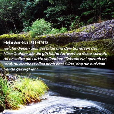 Picture 02 - Hebräer 8:5 LUTH1912 - welche dienen dem Vorbilde und dem Schatten des - Bible Verse Picture
