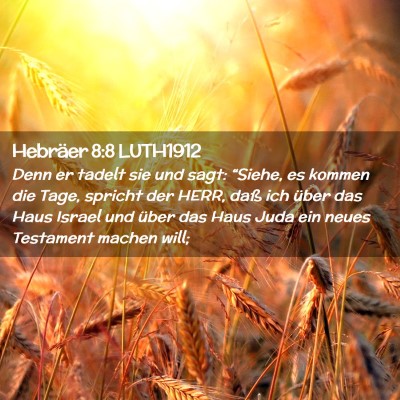 Picture 02 - Hebräer 8:8 LUTH1912 - Denn er tadelt sie und sagt: “Siehe, es kommen - Bible Verse Picture