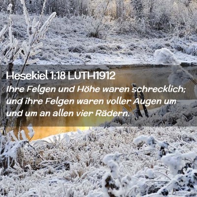 Picture 02 - Hesekiel 1:18 LUTH1912 - Ihre Felgen und Höhe waren schrecklich; und ihre - Bible Verse Picture