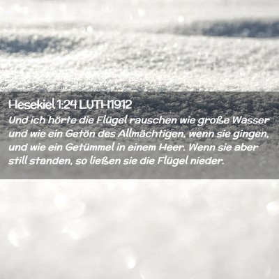 Picture 02 - Hesekiel 1:24 LUTH1912 - Und ich hörte die Flügel rauschen wie große - Bible Verse Picture