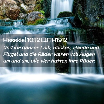 Picture 02 - Hesekiel 10:12 LUTH1912 - Und ihr ganzer Leib, Rücken, Hände und Flügel - Bible Verse Picture