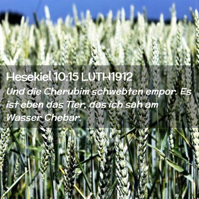 Picture 02 - Hesekiel 10:15 LUTH1912 - Und die Cherubim schwebten empor. Es ist eben das - Bible Verse Picture