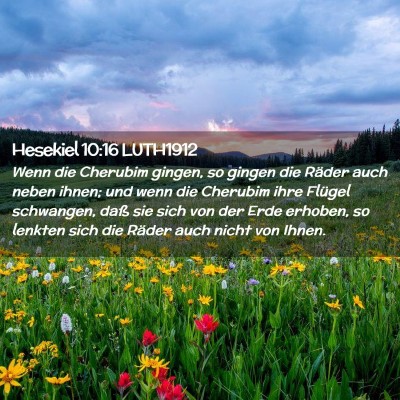 Picture 02 - Hesekiel 10:16 LUTH1912 - Wenn die Cherubim gingen, so gingen die Räder - Bible Verse Picture