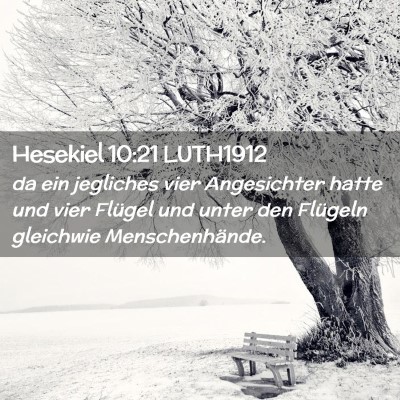 Picture 02 - Hesekiel 10:21 LUTH1912 - da ein jegliches vier Angesichter hatte und vier - Bible Verse Picture