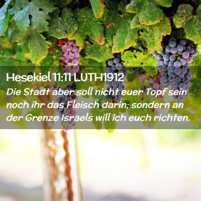 Picture 02 - Hesekiel 11:11 LUTH1912 - Die Stadt aber soll nicht euer Topf sein noch ihr - Bible Verse Picture
