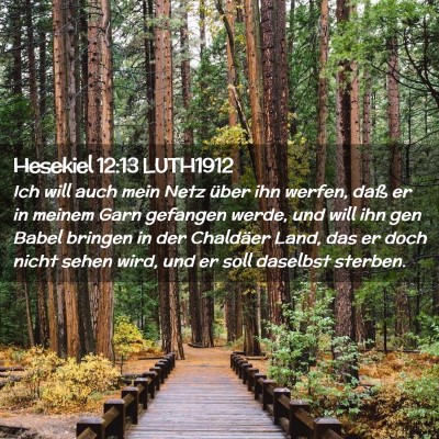 Picture 02 - Hesekiel 12:13 LUTH1912 - Ich will auch mein Netz über ihn werfen, daß er - Bible Verse Picture