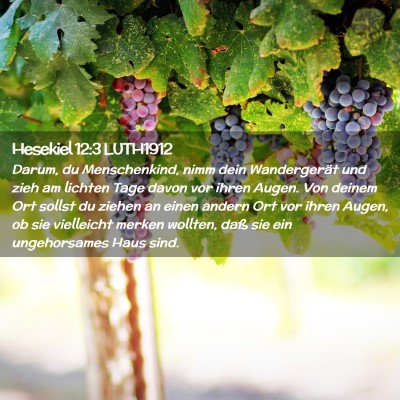Picture 02 - Hesekiel 12:3 LUTH1912 - Darum, du Menschenkind, nimm dein Wandergerät - Bible Verse Picture