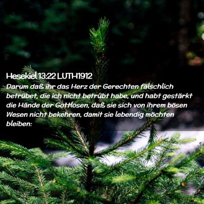 Picture 02 - Hesekiel 13:22 LUTH1912 - Darum daß ihr das Herz der Gerechten fälschlich - Bible Verse Picture